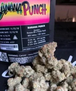 Jungle Boys Banana Punch