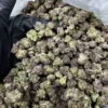 Blue Nerdz – 50 Gramm Gras zu verkaufen