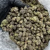 pound of Biscotti strain 454 GRAMS