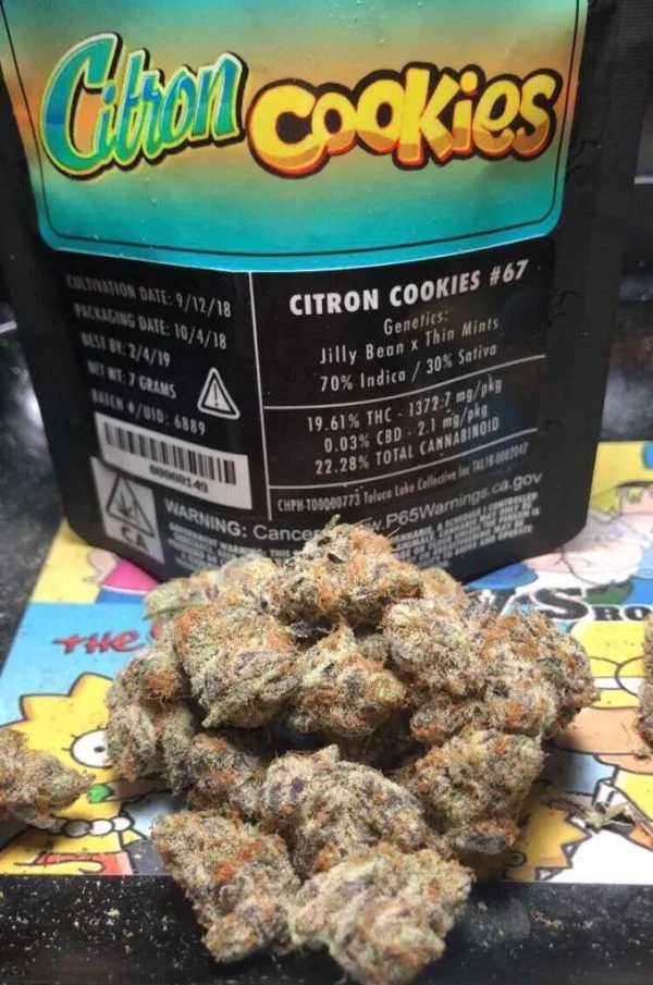 Jungle Boys Citron Cookies