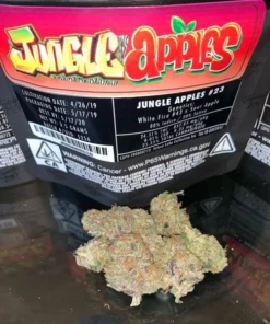 Jungle Boys Jungle Apples