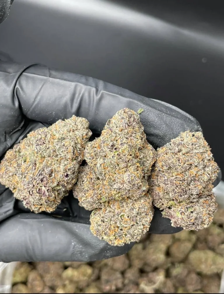 zaza weed strain