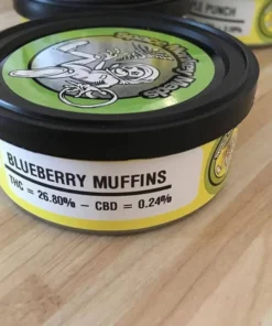 Space Monkey meds