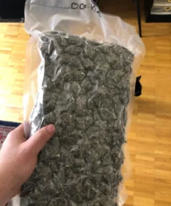 Pounds Of OG Kush Weed