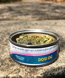 Smart Buds (Dosi Og)