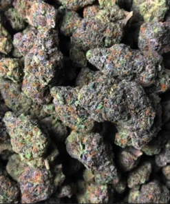 Gelato Weed strain For sale