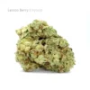 Lemon slushie strain