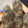 Lemon Haze