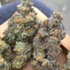 Wedding Cake Strain