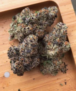 Biscotti