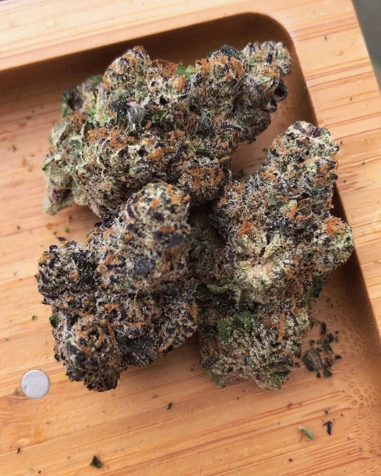 Biscotti