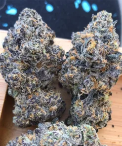Grand Daddy Purple for sale