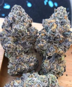 Grand Daddy Purple for sale