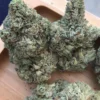 Afghan Kush