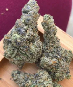 Bubblegum