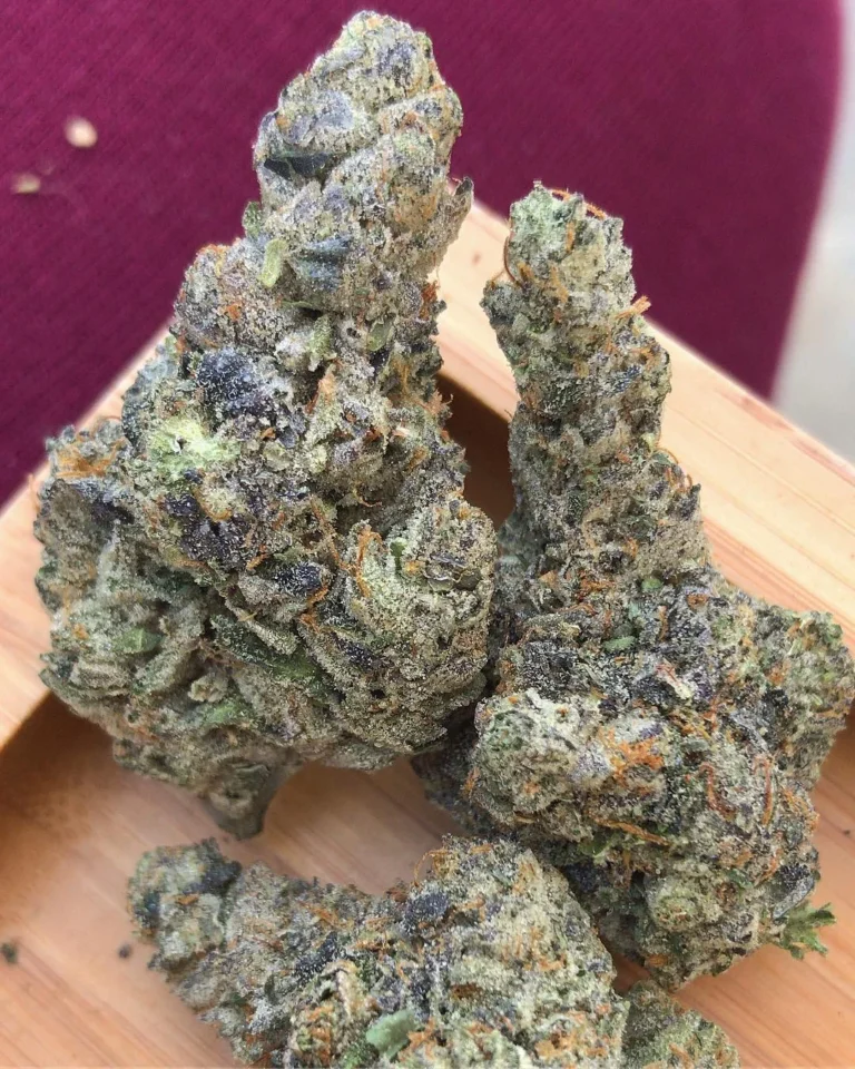 Bubblegum