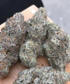 Northern lights