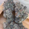 Jack Herer
