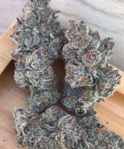 Jack Herer
