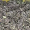 Buy Runtz Strain