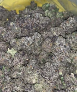Buy Runtz Strain
